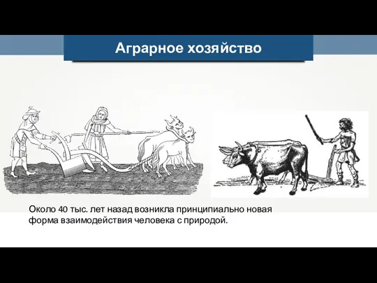 Аграрное хозяйство Около 40 тыс. лет назад возникла принципиально новая форма взаимодействия человека с природой.