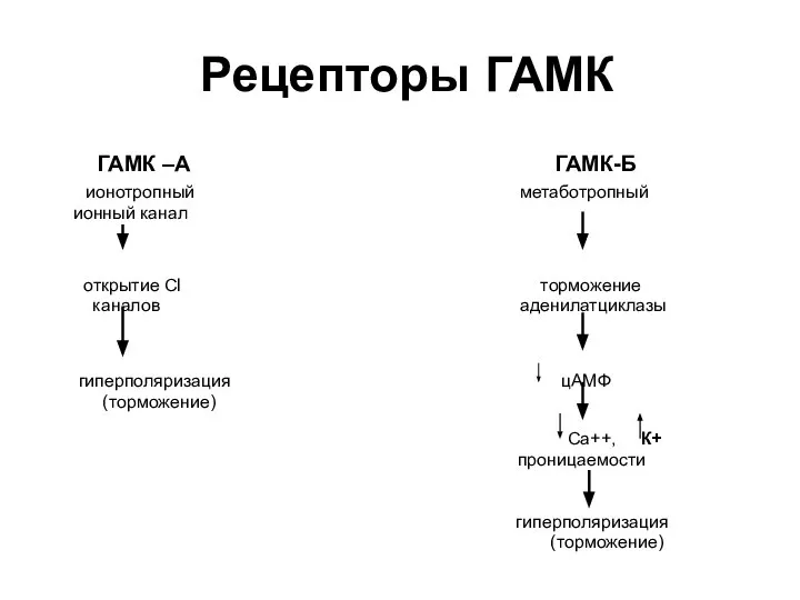 Рецепторы ГАМК ГАМК –А ГАМК-Б ионотропный метаботропный ионный канал открытие Сl торможение