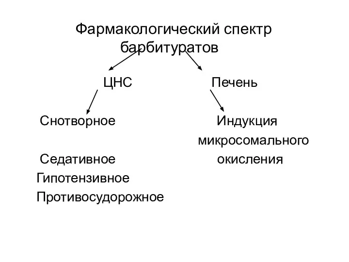 Фармакологический спектр барбитуратов ЦНС Печень Снотворное Индукция микросомального Седативное окисления Гипотензивное Противосудорожное