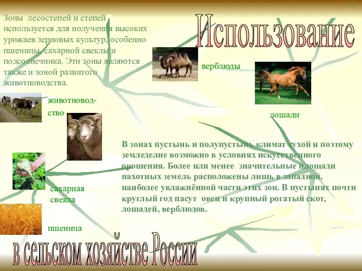Использование в сельском хозяйстве России