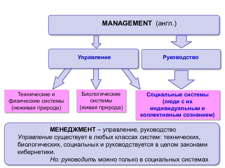 MANAGEMENT (англ.) Руководство Технические и физические системы (неживая природа) Биологические системы (живая