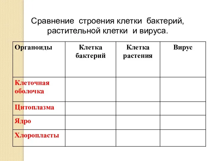 Сравнение строения клетки бактерий, растительной клетки и вируса.