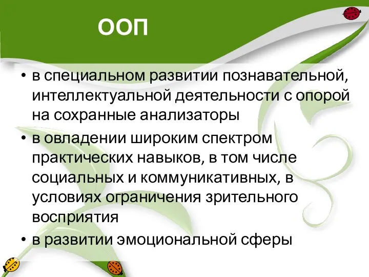 ООП в специальном развитии познавательной, интеллектуальной деятельности с опорой на сохранные анализаторы