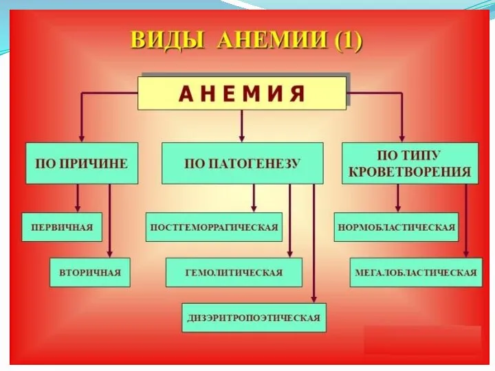 Классификация анемий В зависимости от этиологии и патогенеза 1. Анемии, вследствие кровопотери