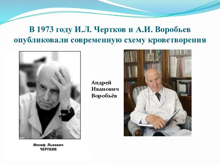 В 1973 году И.Л. Чертков и А.И. Воробьев опубликовали современную схему кроветворения Андрей Иванович Воробьёв