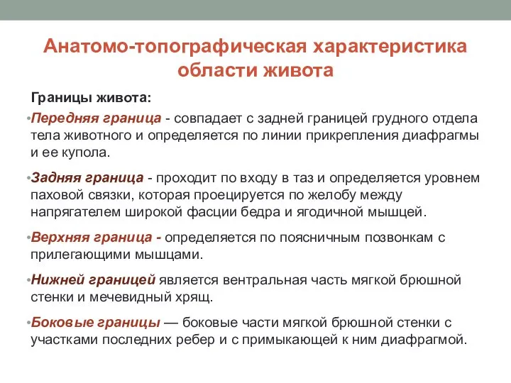 Анатомо-топографическая характеристика области живота Границы живота: Передняя граница - совпадает с задней