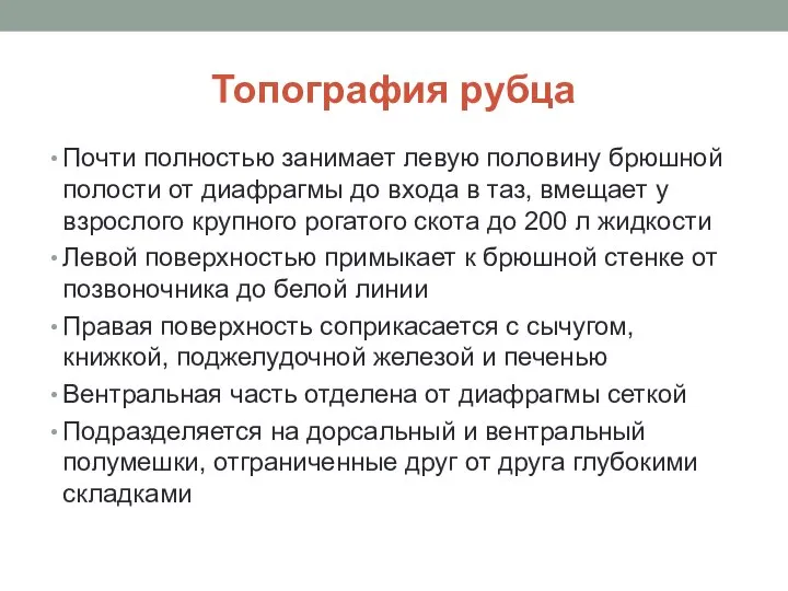 Топография рубца Почти полностью занимает левую половину брюшной полости от диафрагмы до