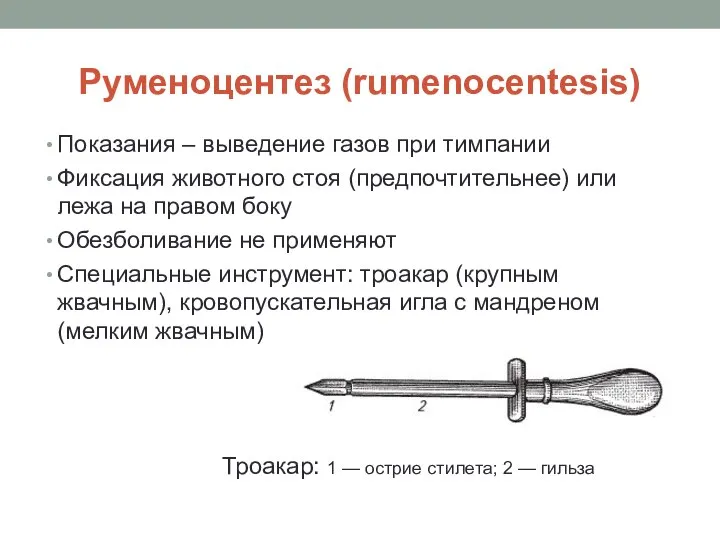 Руменоцентез (rumenocentesis) Показания – выведение газов при тимпании Фиксация животного стоя (предпочтительнее)