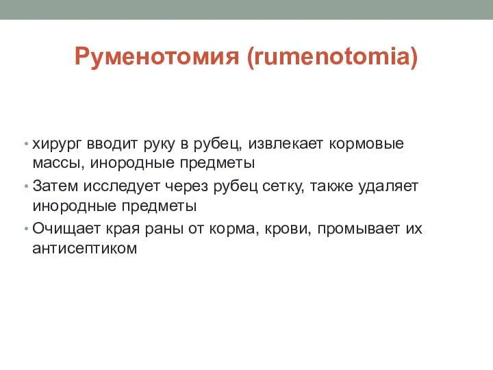 Руменотомия (rumenotomia) хирург вводит руку в рубец, извлекает кормовые массы, инородные предметы