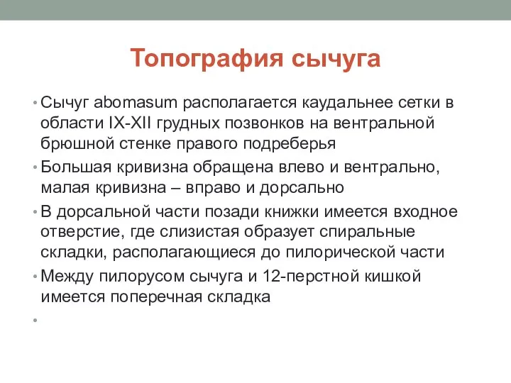 Топография сычуга Сычуг abomasum располагается каудальнее сетки в области IX-XII грудных позвонков