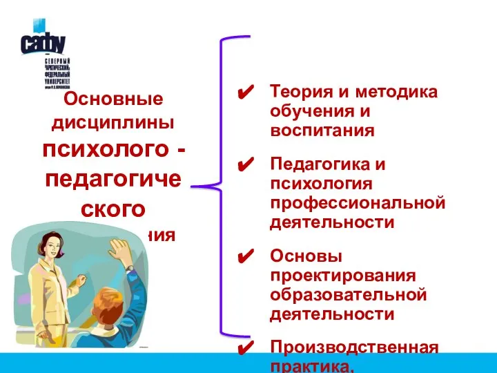 Теория и методика обучения и воспитания Педагогика и психология профессиональной деятельности Основы