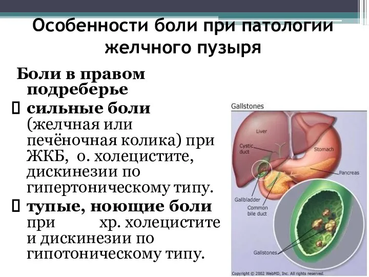 Особенности боли при патологии желчного пузыря Боли в правом подреберье сильные боли