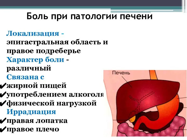 Боль при патологии печени Локализация - эпигастральная область и правое подреберье Характер