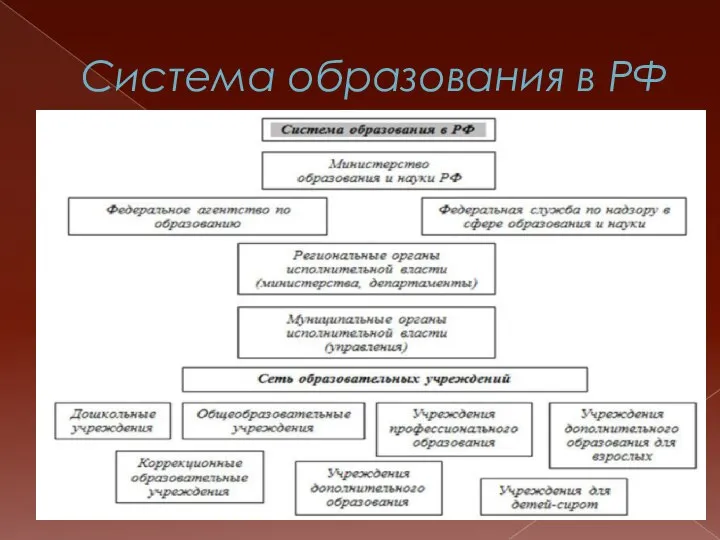 Система образования в РФ