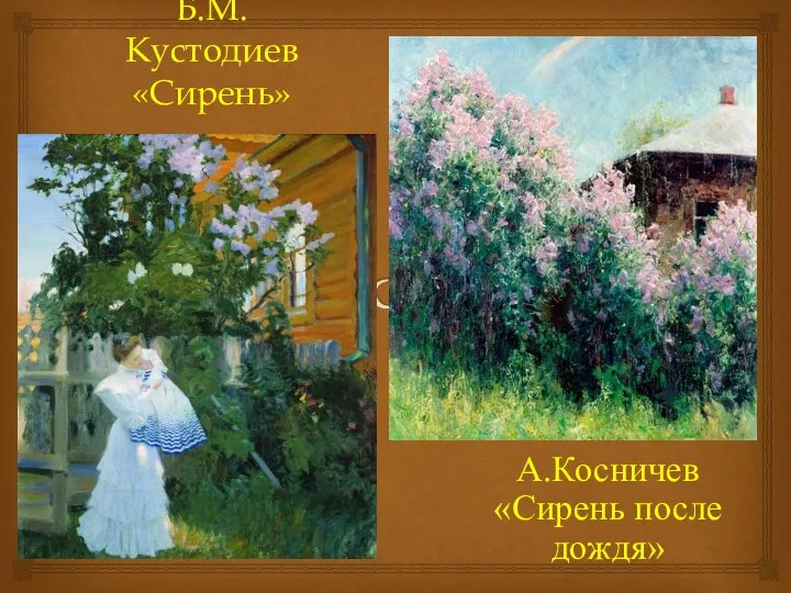 Б.М.Кустодиев «Сирень» А.Косничев «Сирень после дождя»