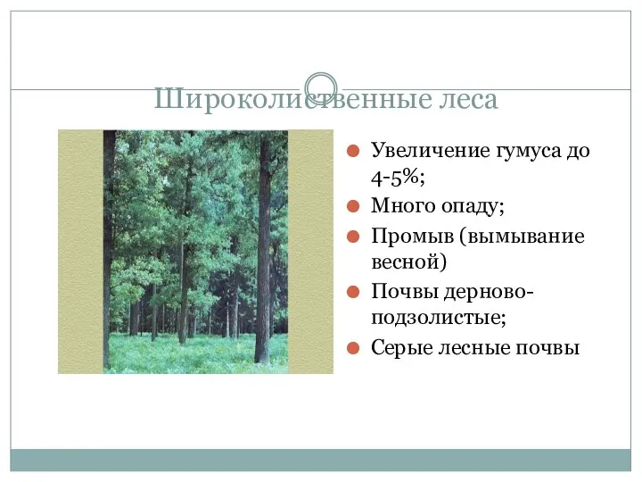Широколиственные леса Увеличение гумуса до 4-5%; Много опаду; Промыв (вымывание весной) Почвы дерново-подзолистые; Серые лесные почвы