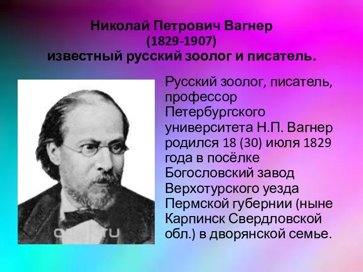 Николай Петрович Вагнер (1829-1907) известный русский зоолог и писатель. Русский зоолог, писатель,
