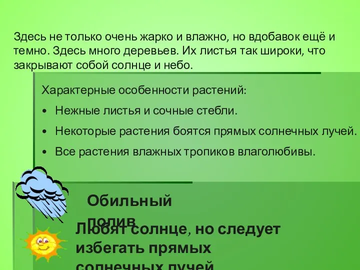 Обильный полив Любят солнце, но следует избегать прямых солнечных лучей тропические леса