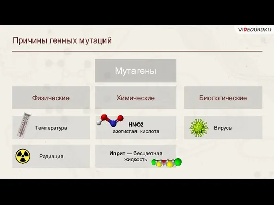 Причины генных мутаций Мутагены Физические Химические Биологические Температура Радиация НNO2 азотистая кислота