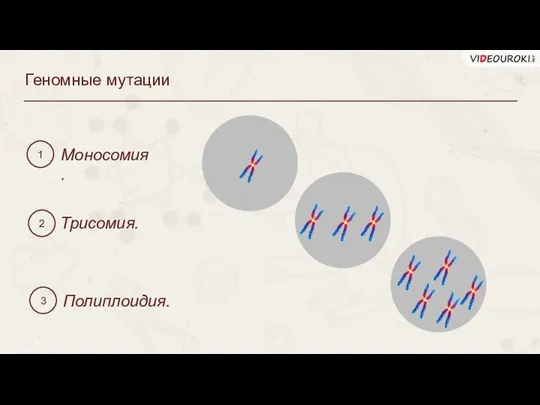 Геномные мутации 1 2 3 Моносомия. Трисомия. Полиплоидия.
