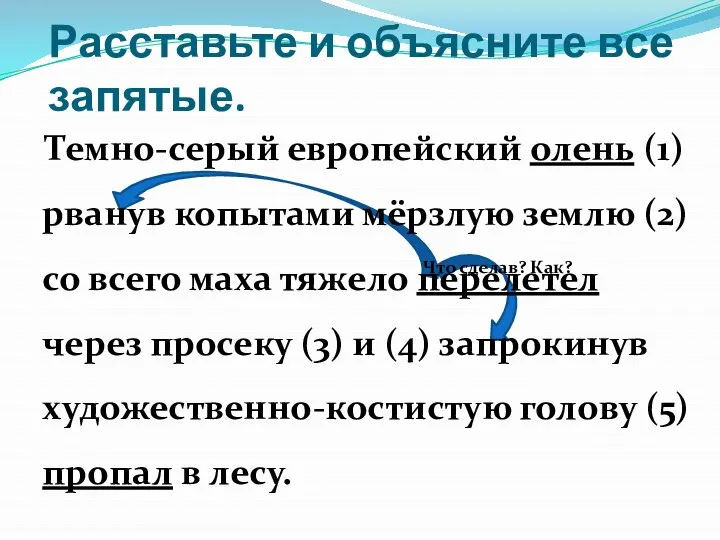 Расставьте и объясните все запятые. Темно-серый европейский олень (1) рванув копытами мёрзлую