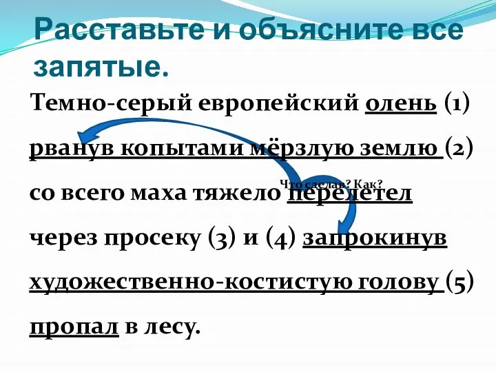 Расставьте и объясните все запятые. Темно-серый европейский олень (1) рванув копытами мёрзлую