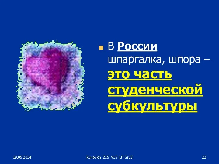 В России шпаргалка, шпора – это часть студенческой субкультуры 19.05.2014 Runovich_Z15_V15_LF_Gr15