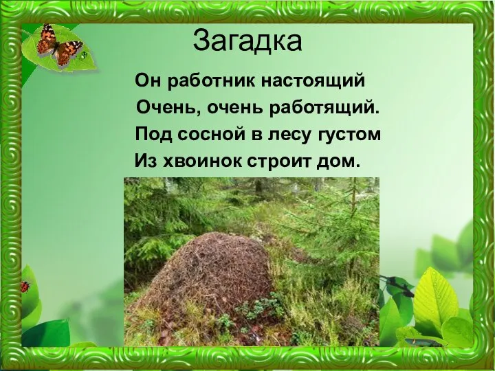 Загадка Он работник настоящий Очень, очень работящий. Под сосной в лесу густом Из хвоинок строит дом.