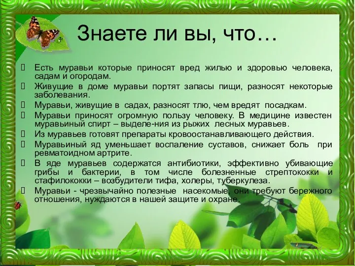 Знаете ли вы, что… Есть муравьи которые приносят вред жилью и здоровью