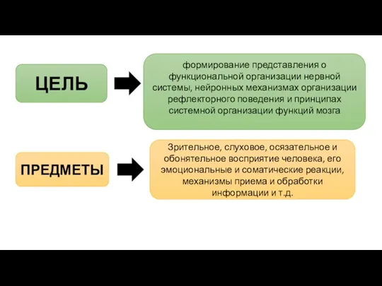 Зрительное, слуховое, осязательное и обонятельное восприятие человека, его эмоциональные и соматические реакции,