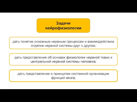 Задачи нейрофизиологии дать понятие основным нервным процессам и взаимодействию отделов нервной системы