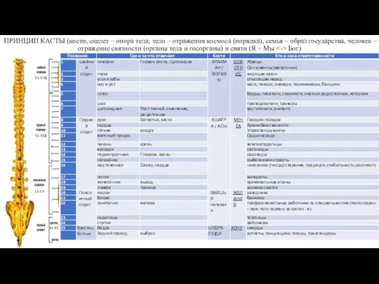 ПРИНЦИП КАСТЫ (кости, скелет – опора тела; тело – отражения космоса (порядка),