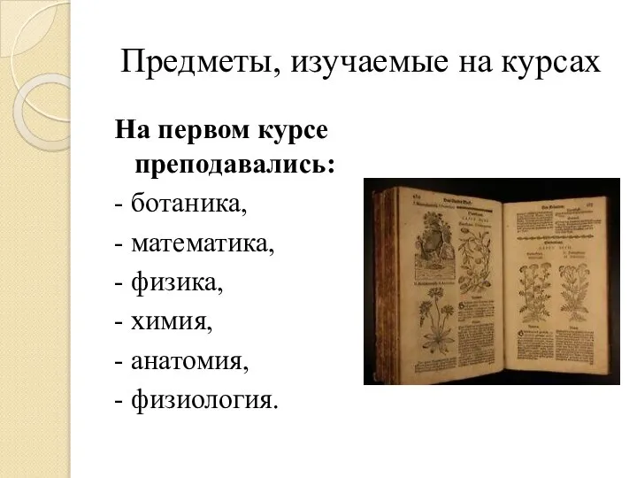 Предметы, изучаемые на курсах На первом курсе преподавались: - ботаника, - математика,