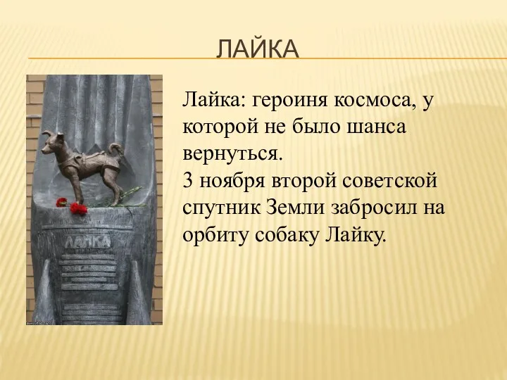 ЛАЙКА Лайка: героиня космоса, у которой не было шанса вернуться. 3 ноября