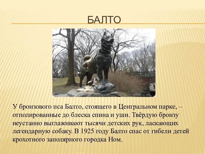 БАЛТО У бронзового пса Балто, стоящего в Центральном парке, – отполированные до