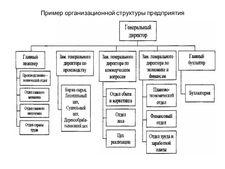 Пример организационной структуры предприятия