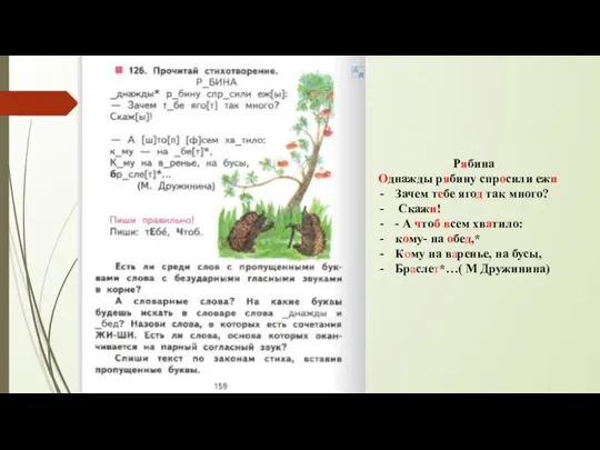 Рябина Однажды рябину спросили ежи Зачем тебе ягод так много? Скажи! -