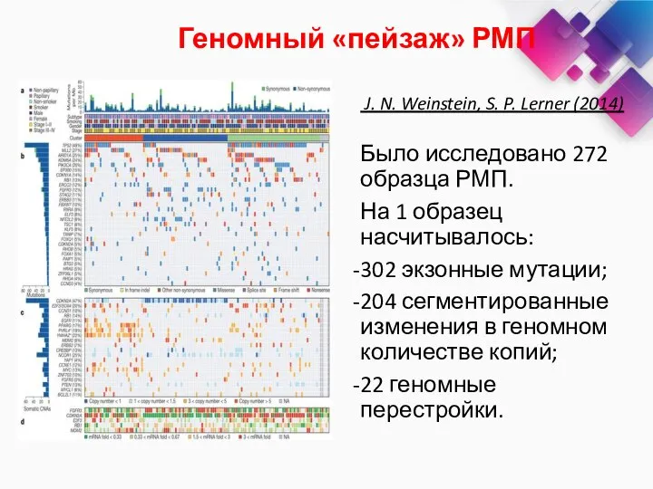 J. N. Weinstein, S. P. Lerner (2014) Было исследовано 272 образца РМП.