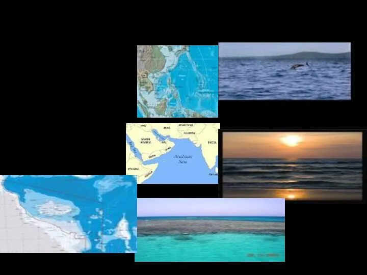 Самые крупные моря: Филиппинское Аравийское Коралловое S-5726 тыс.км.кв. Макс. глуб.10265м S-4832 тыс.кв.км.