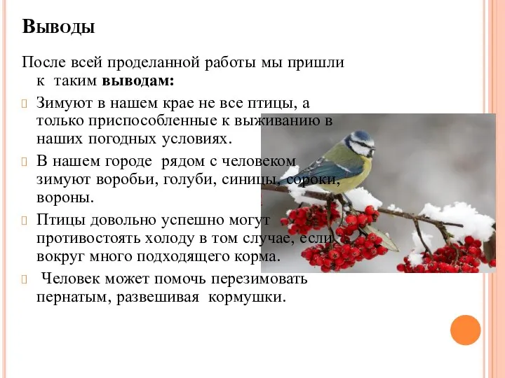 Выводы После всей проделанной работы мы пришли к таким выводам: Зимуют в