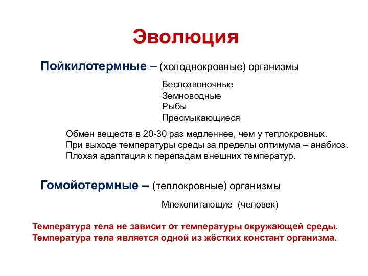 Пойкилотермные – (холоднокровные) организмы Гомойотермные – (теплокровные) организмы Эволюция Беспозвоночные Земноводные Рыбы