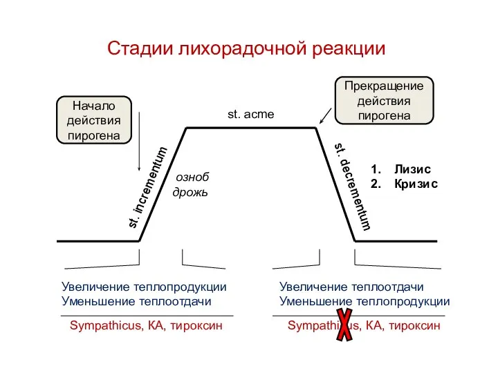 Стадии лихорадочной реакции st. incrementum st. acme st. decrementum озноб дрожь Увеличение