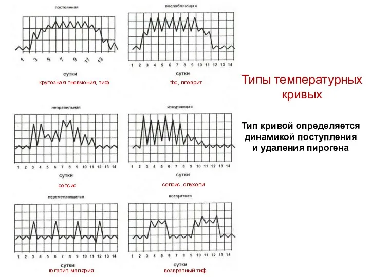 Типы температурных кривых Тип кривой определяется динамикой поступления и удаления пирогена крупозная