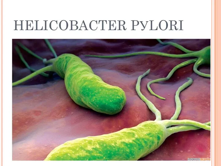 HELICOBACTER PУLORI