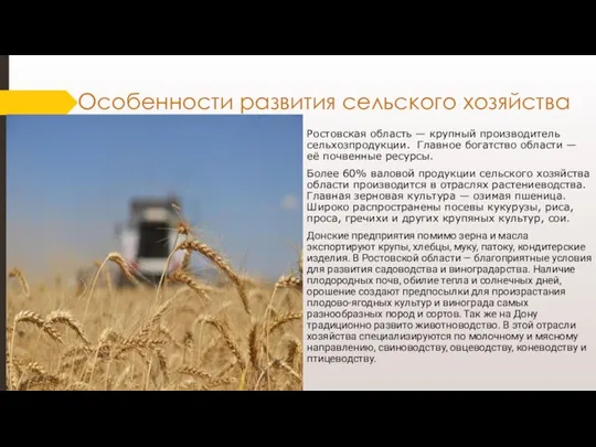 Особенности развития сельского хозяйства Ростовская область — крупный производитель сельхозпродукции. Главное богатство