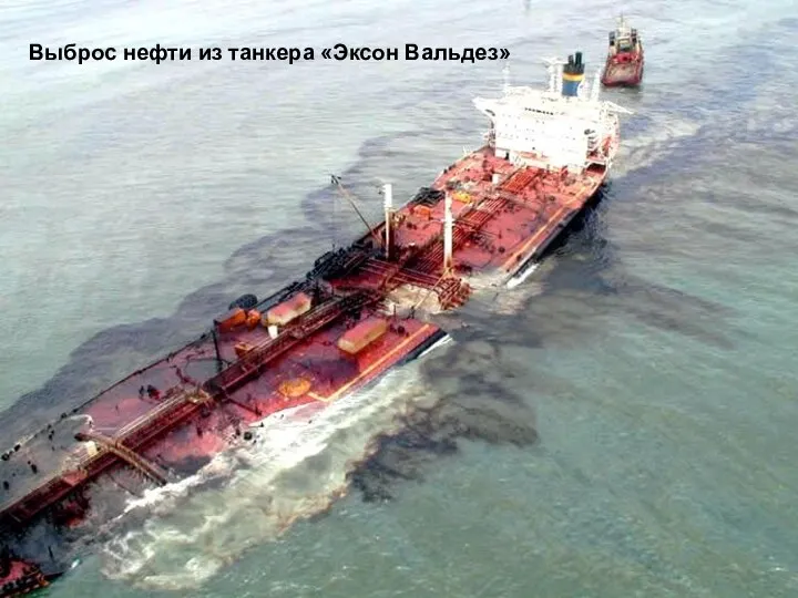 Выброс нефти из танкера «Эксон Вальдез»