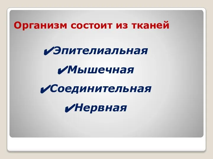 Организм состоит из тканей Эпителиальная Мышечная Соединительная Нервная