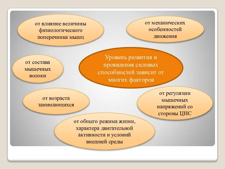 Уровень развития и проявления силовых способностей зависит от многих факторов от влияние