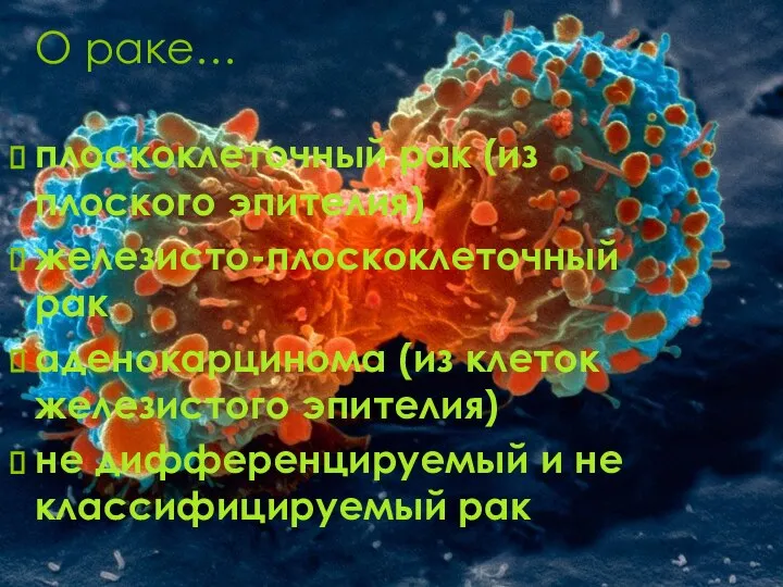 О раке… плоскоклеточный рак (из плоского эпителия) железисто-плоскоклеточный рак аденокарцинома (из клеток