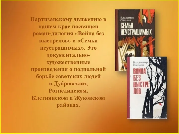 Партизанскому движению в нашем крае посвящен роман-дилогия «Война без выстрелов» и «Семья